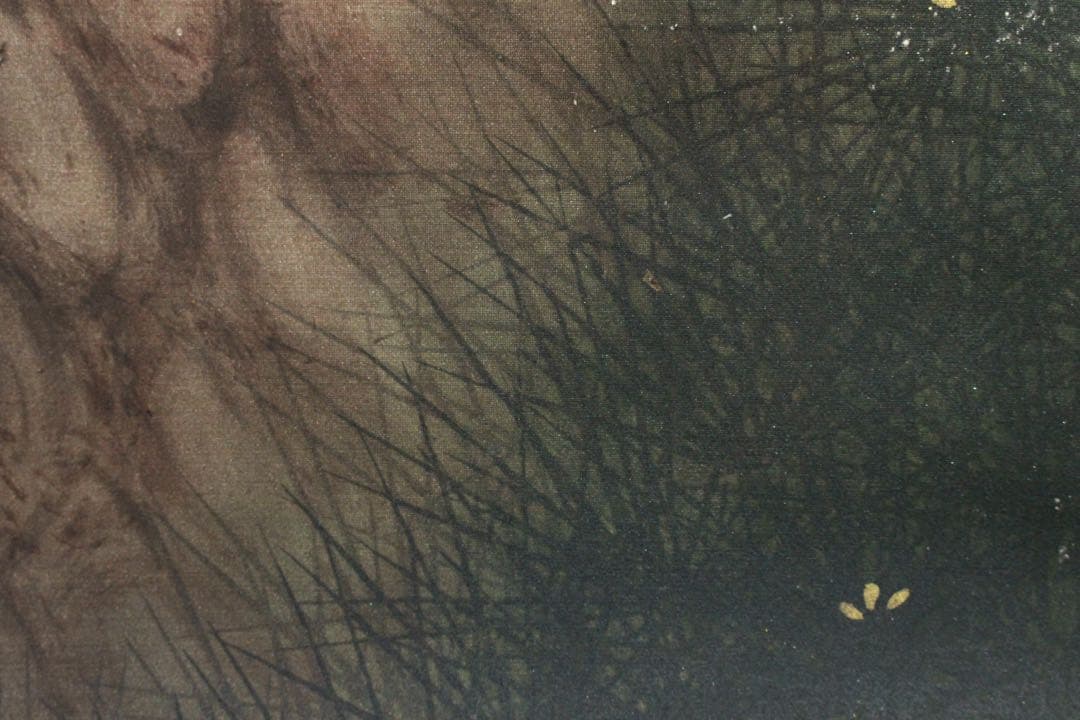 No5847 掛軸　国井幸雪　「日の出松」　絹本着色　共箱/二重箱　送料無料