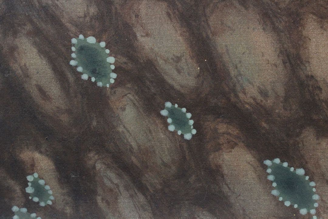 No5847 掛軸　国井幸雪　「日の出松」　絹本着色　共箱/二重箱　送料無料