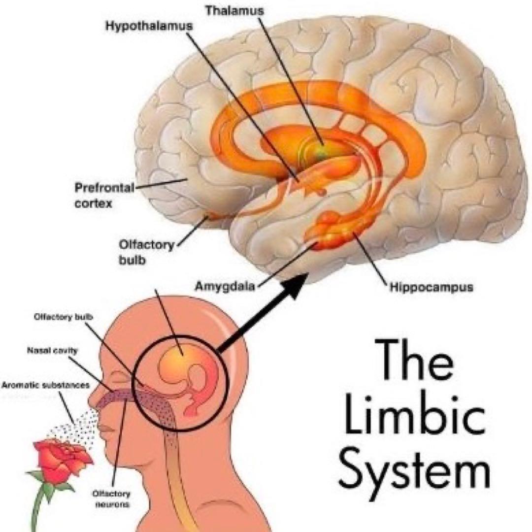 アロマ3点おまとめ