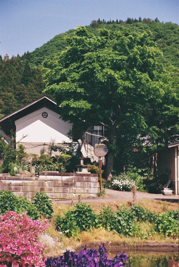 ニコンFM10／Z・ニッコール35-70mmf3.5-4.8【実写確認済整備品】