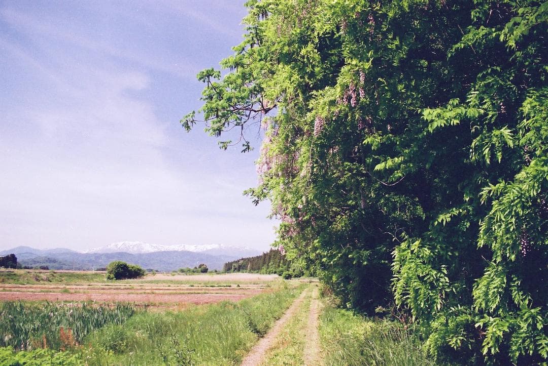 ニコンFM10／Z・ニッコール35-70mmf3.5-4.8【実写確認済整備品】