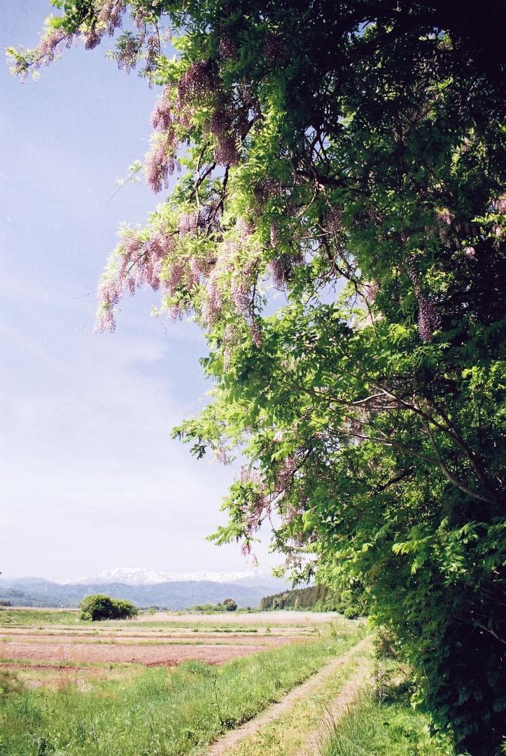 ニコンFM10／Z・ニッコール35-70mmf3.5-4.8【実写確認済整備品】