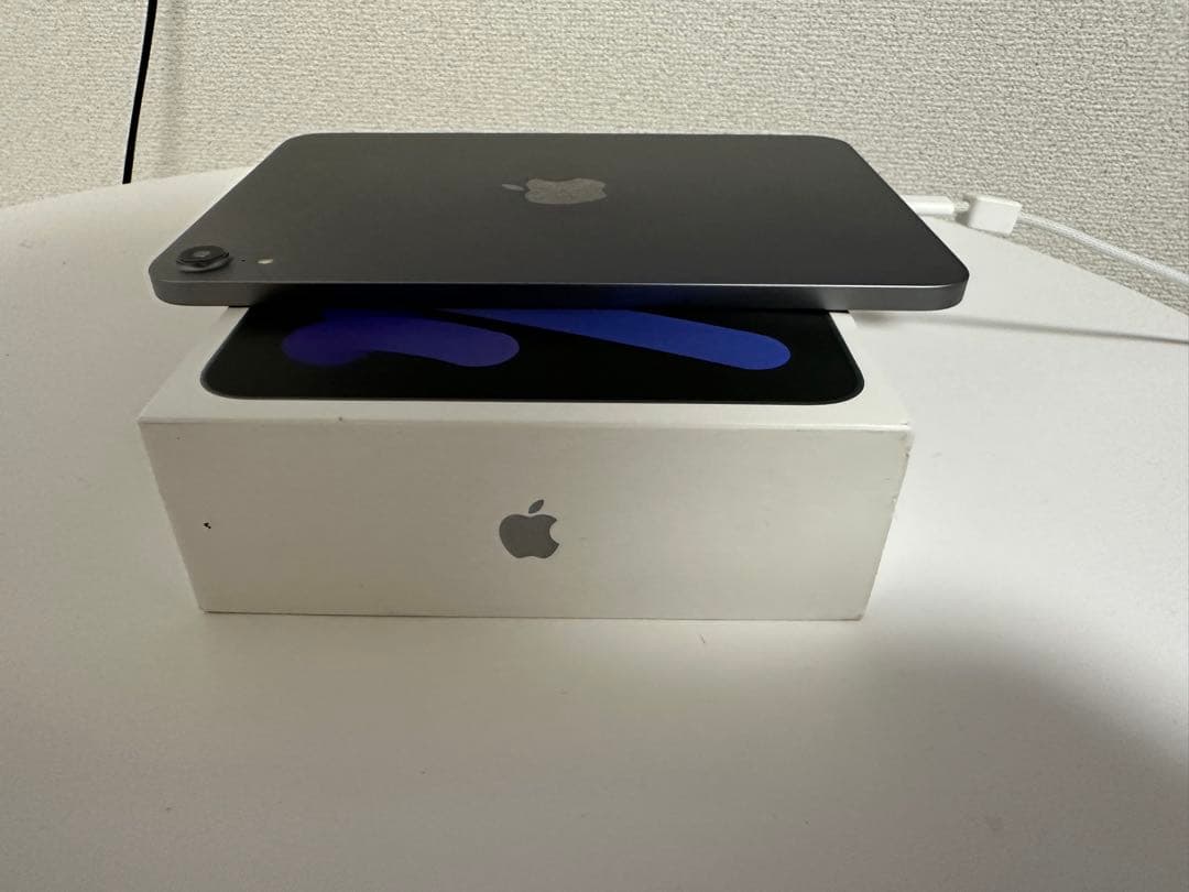 iPad本体 iPad mini7