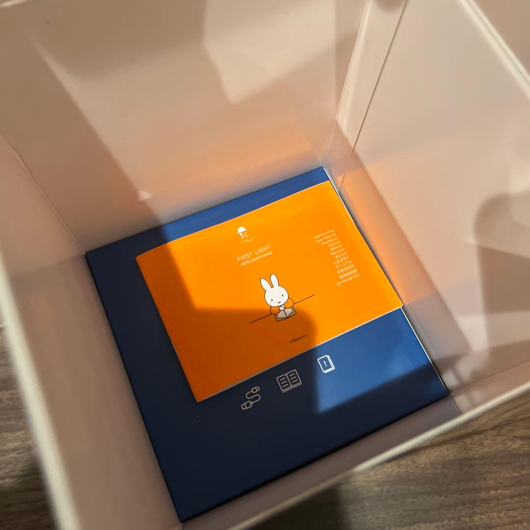 ボリス　ルームライト