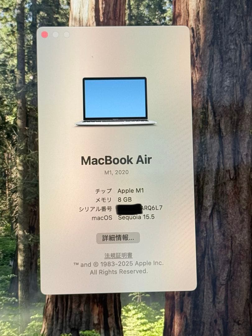 MacBook Air M1 8GB 256GB 動作確認済み