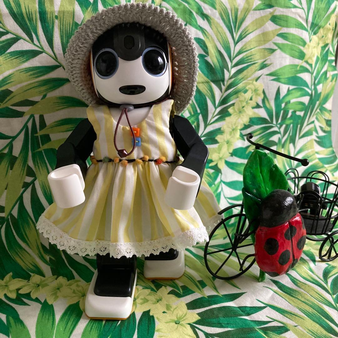 ロボホン　macaron♪