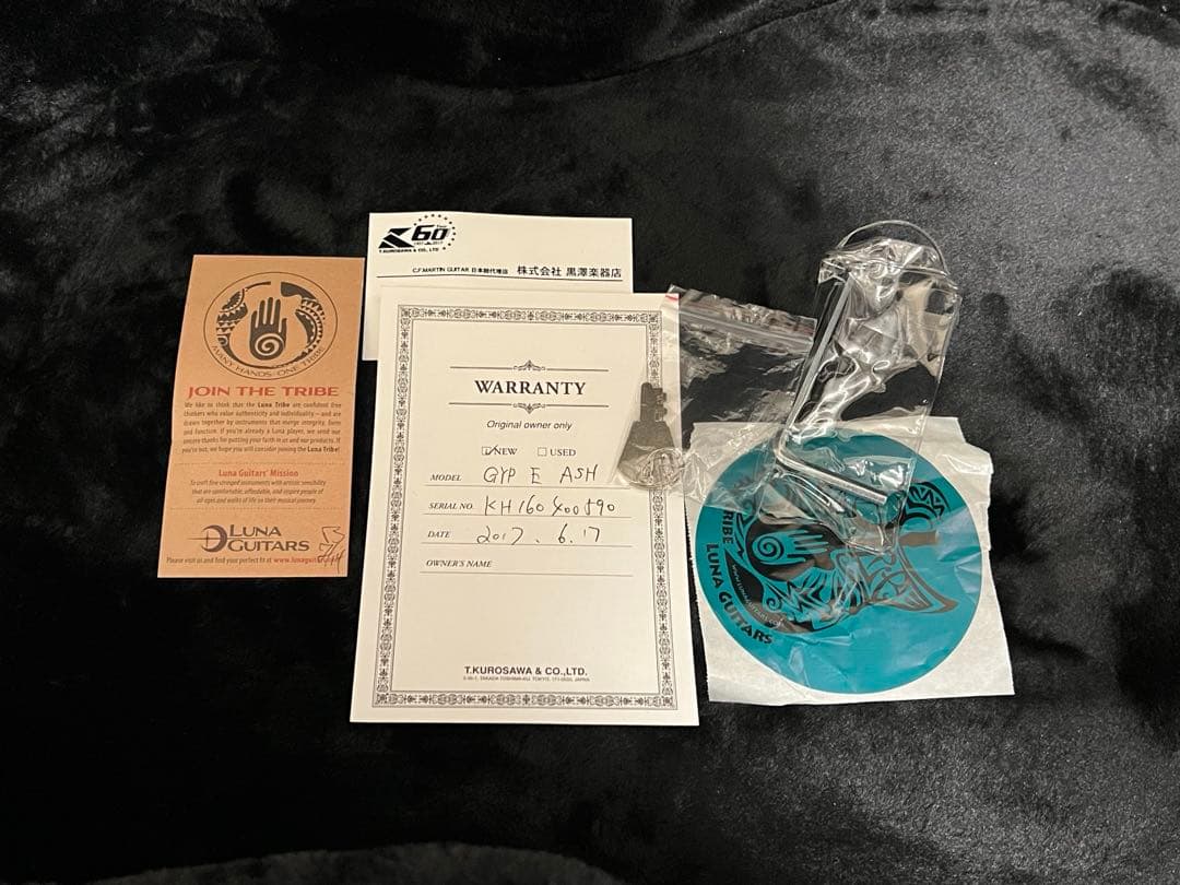 即発送 Luna guitar GYP E ASH DEANのハードケース付き