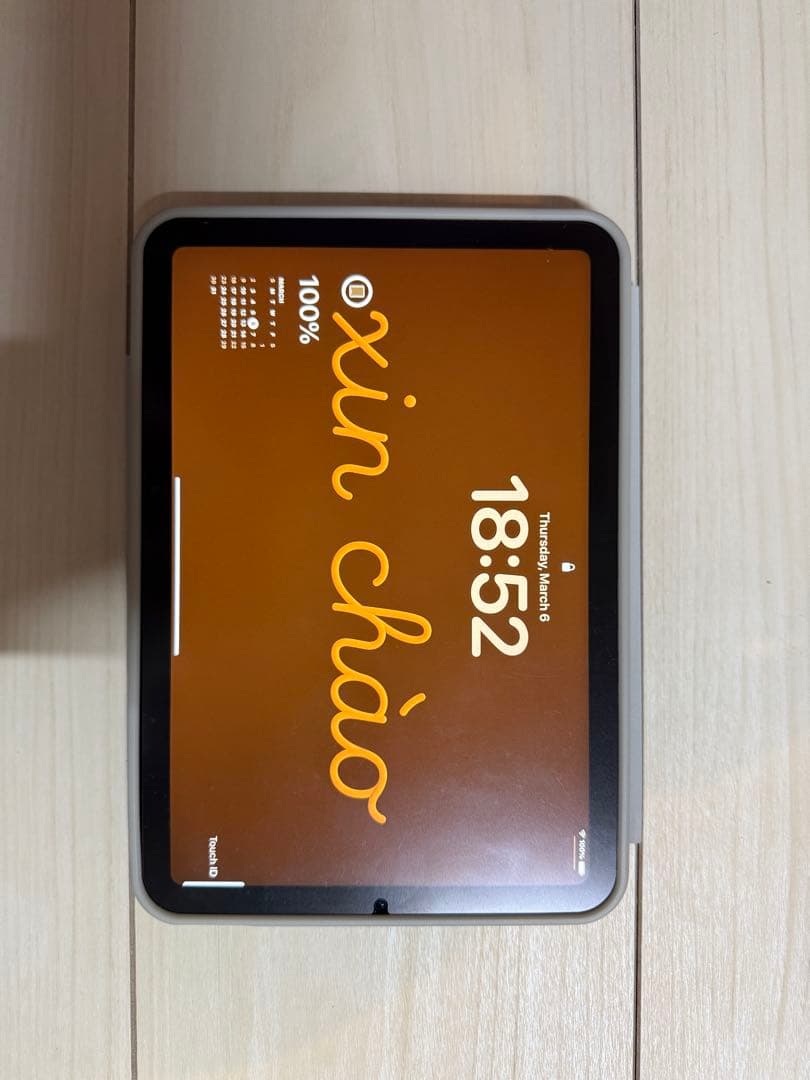 iPad mini 6th CELLULARモデル 256GB スペースグレー