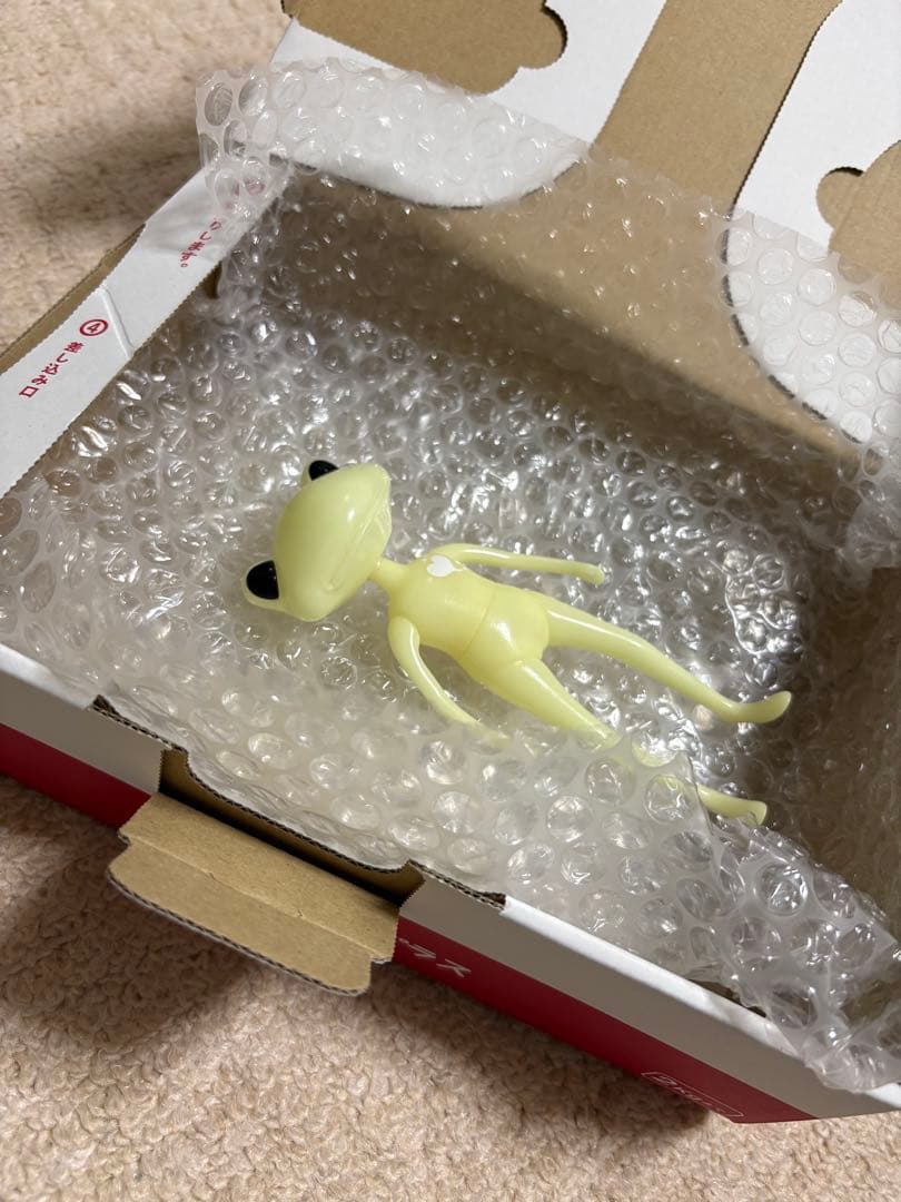 ワンダーフロッグ　ステラ・ディノッテ　ワンダフレンド　蓄光タイプ