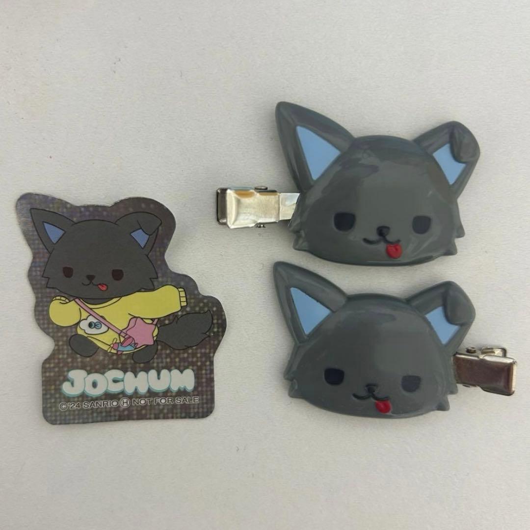 jo1 金城碧海 jochum まとめ売り