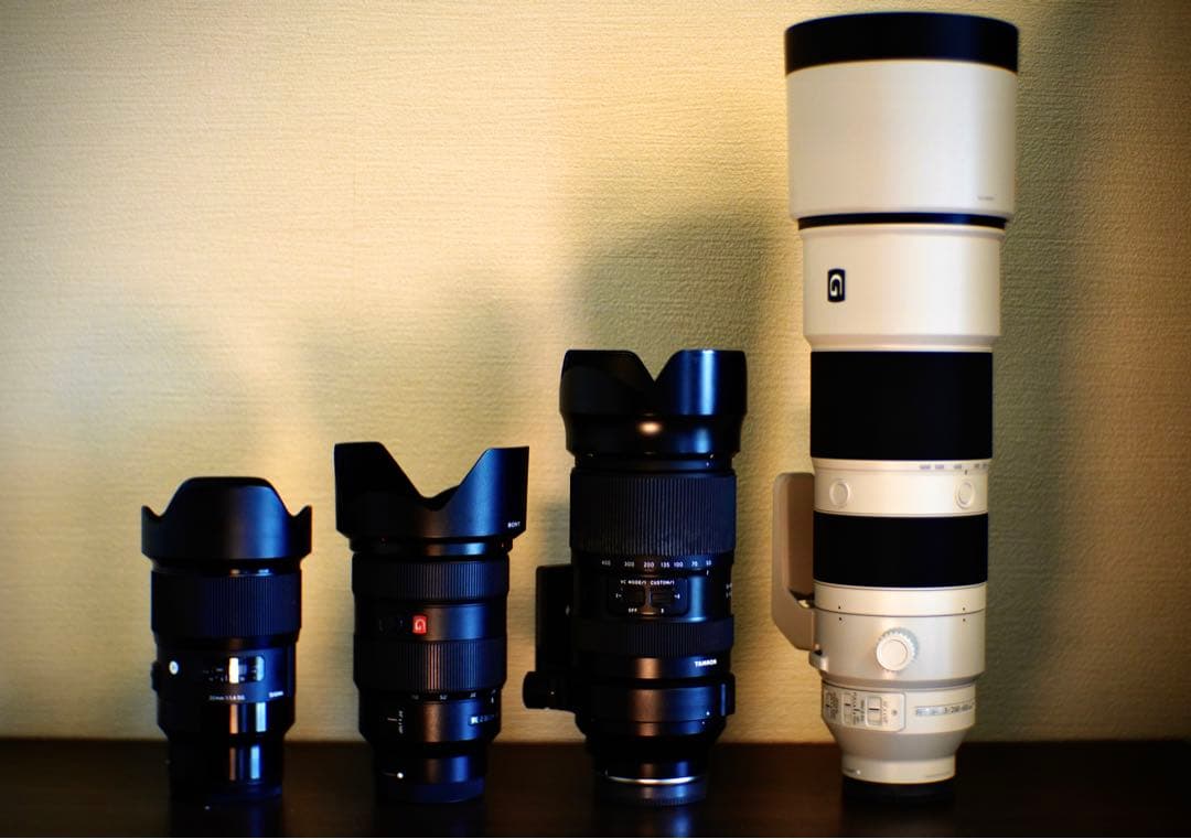 【今だけ】美品:Sony eマウント200-600mm G OSS おまけ多数