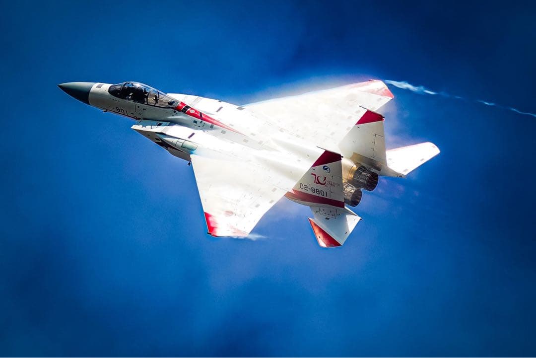 【今だけ】美品:Sony eマウント200-600mm G OSS おまけ多数