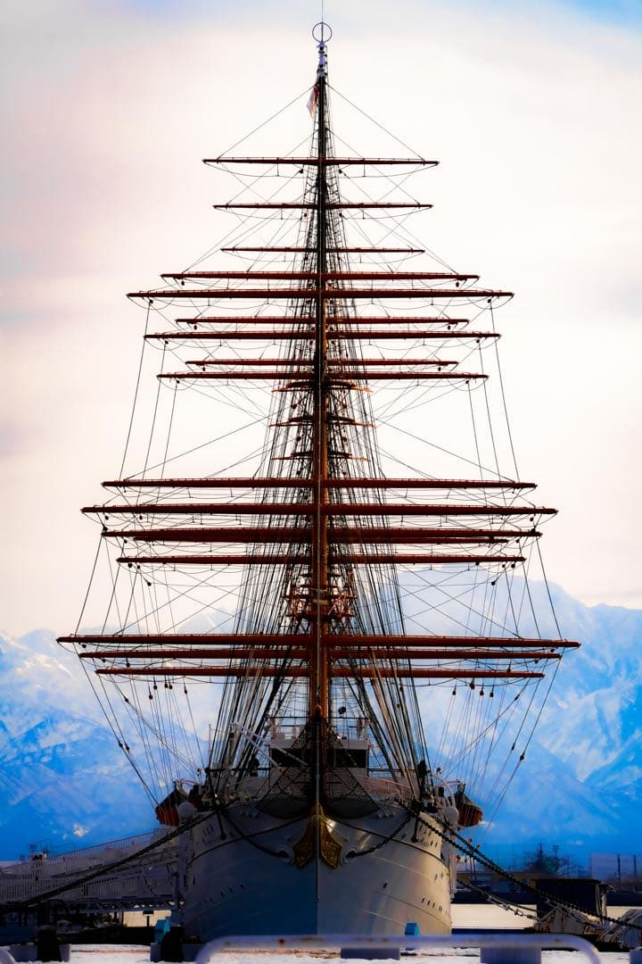 【今だけ】美品:Sony eマウント200-600mm G OSS おまけ多数