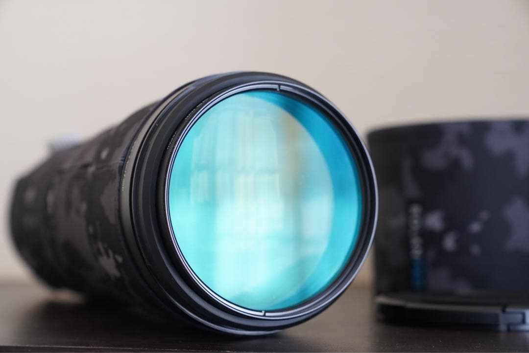 【今だけ】美品:Sony eマウント200-600mm G OSS おまけ多数