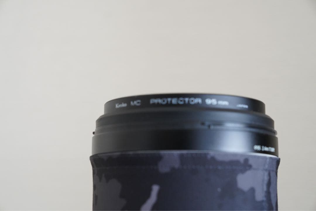 【今だけ】美品:Sony eマウント200-600mm G OSS おまけ多数