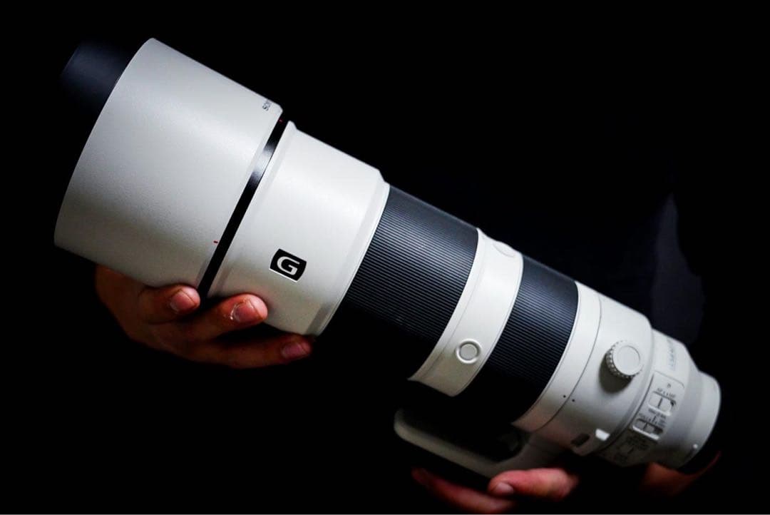 【今だけ】美品:Sony eマウント200-600mm G OSS おまけ多数