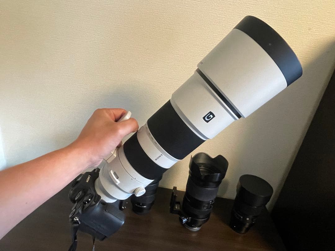 【今だけ】美品:Sony eマウント200-600mm G OSS おまけ多数
