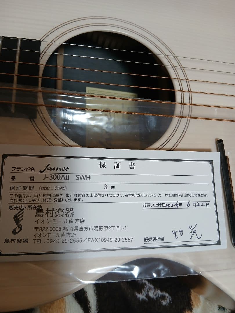 ジェームス300AIIホワイト