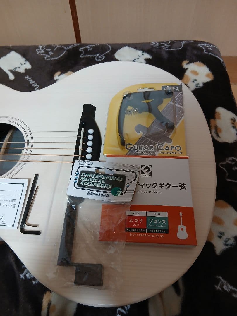 ジェームス300AIIホワイト