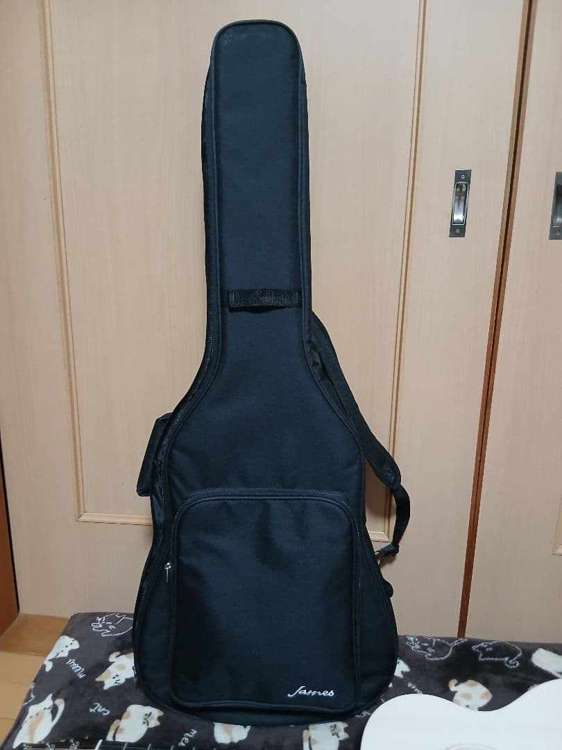 ジェームス300AIIホワイト