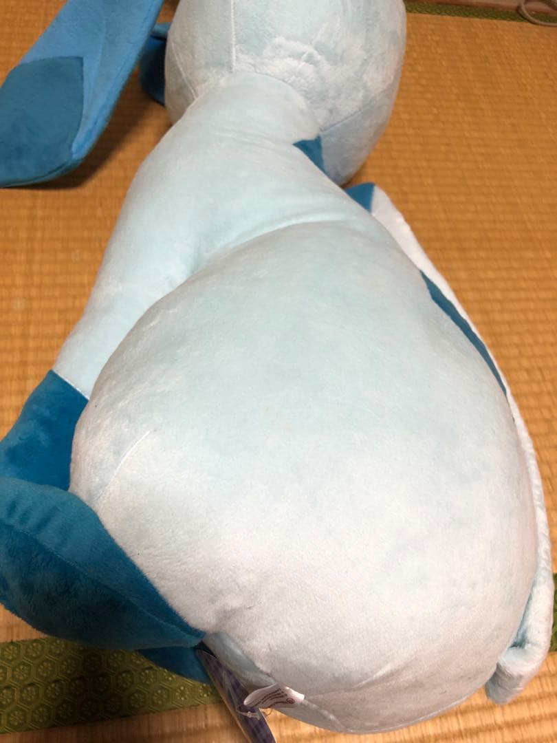 ポケモン　等身大　グレイシア