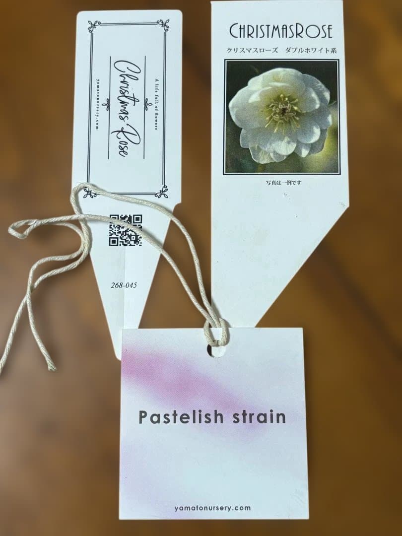 大和園　パステリッシュストレイン＆ホワイトダブル　2点セット