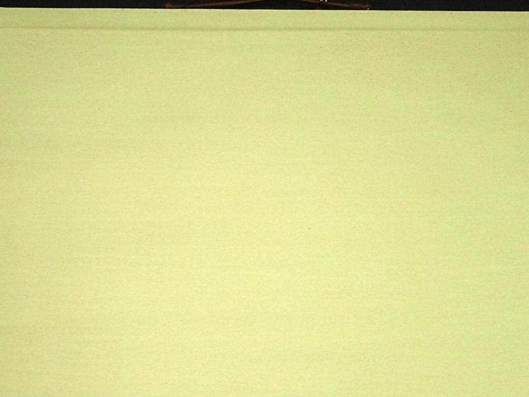 【複製画】掛軸 渡辺崋山『芳野懐古 花図』紙本 共箱付 掛け軸 a103010