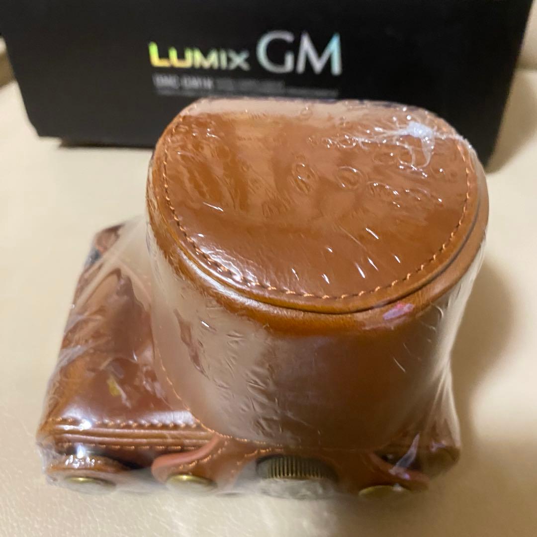 極美 LUMIX DMC-GM1K ボディ＋電動パンケーキレンズ、他アクセサリー