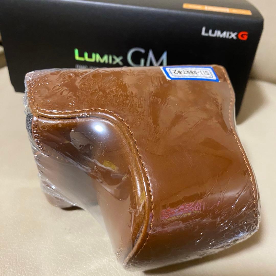 極美 LUMIX DMC-GM1K ボディ＋電動パンケーキレンズ、他アクセサリー