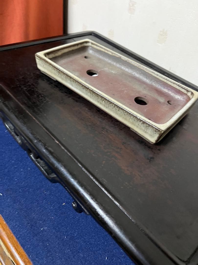 342 盆栽　盆栽鉢　植木鉢　和鉢