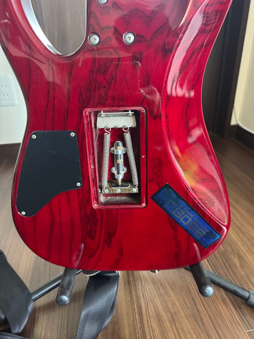 今日だけの値下げ❗️SCHECTER NV-DX-24-AS　D-tunaつき