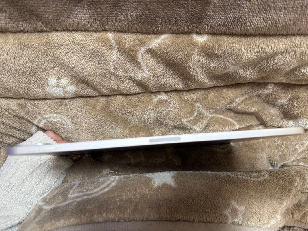 11インチiPad Pro(第4世代)WiーFi 256GB