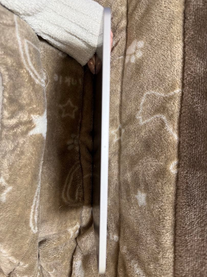 11インチiPad Pro(第4世代)WiーFi 256GB