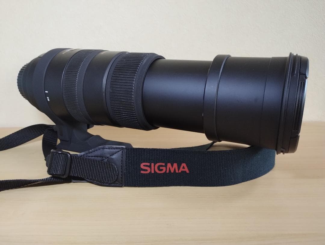 ✨現状品✨ SIGMA APO 150-500mm 望遠 Canon キャノン用