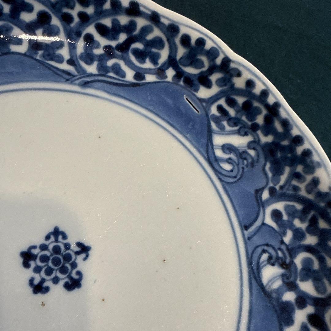 古伊万里　染付　蛸唐草　五弁花　7寸皿　元禄期