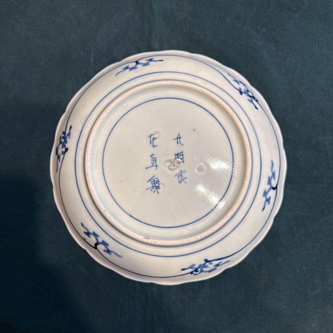 古伊万里　染付　蛸唐草　五弁花　7寸皿　元禄期