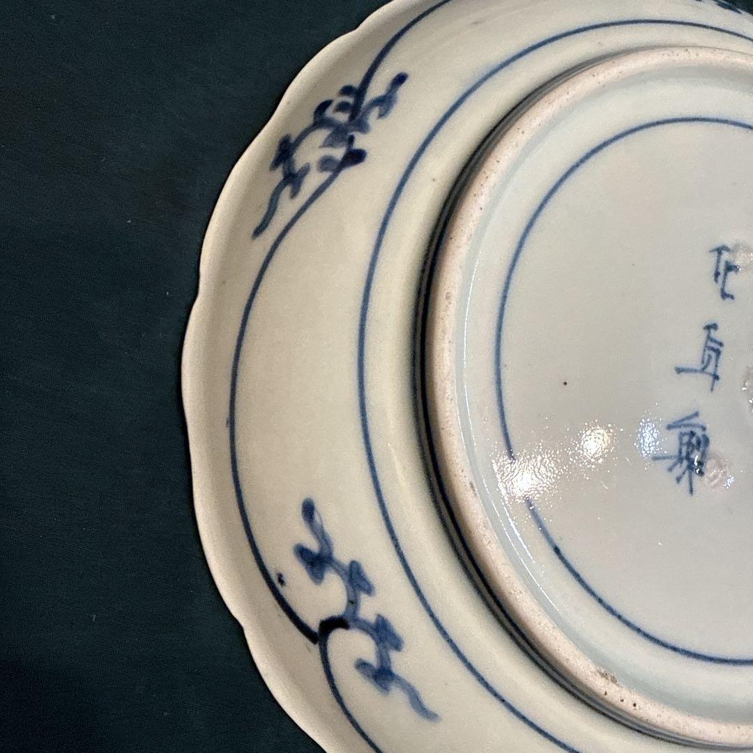 古伊万里　染付　蛸唐草　五弁花　7寸皿　元禄期
