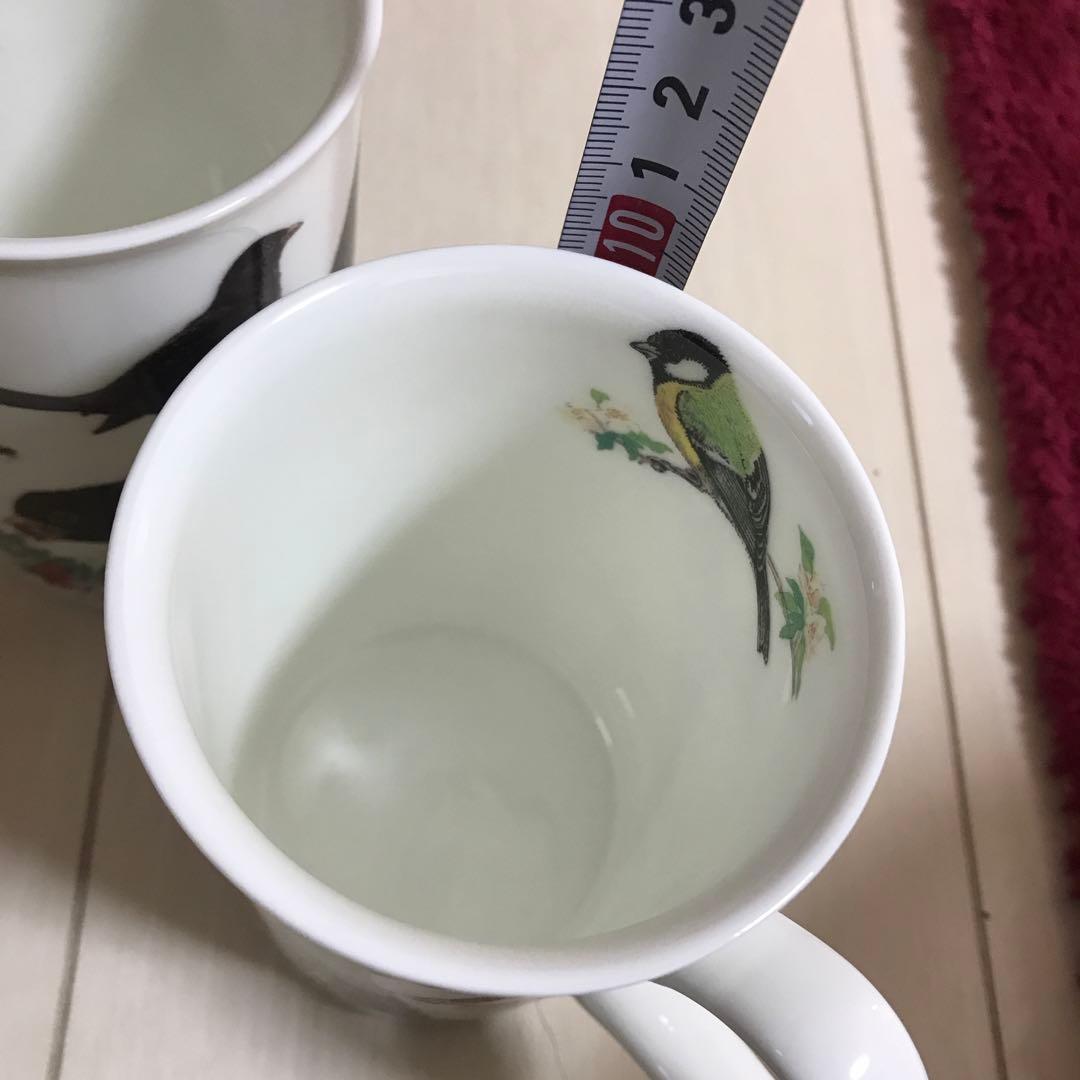 保存容器・ケース garden birds Roy kirkham england bone