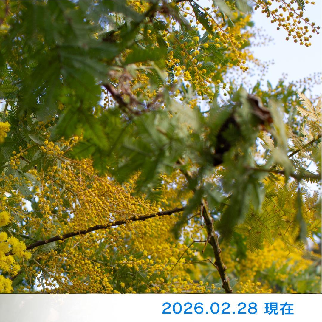 ぶるーべりージャム商品