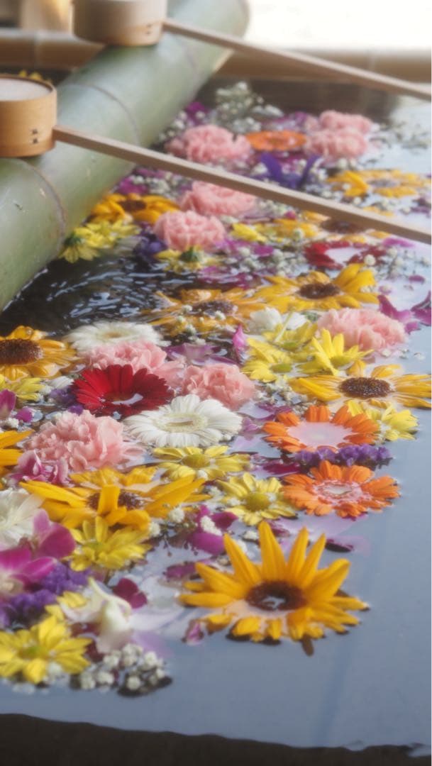 OM-D E-M5 Mark III【⠀レンズのみ付きません】