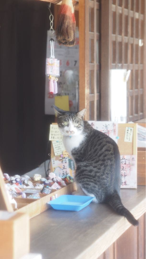 OM-D E-M5 Mark III【⠀レンズのみ付きません】