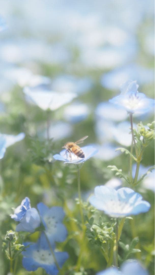OM-D E-M5 Mark III【⠀レンズのみ付きません】
