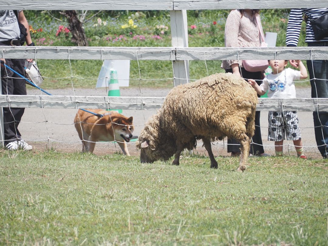 OM-D E-M5 Mark III【⠀レンズのみ付きません】