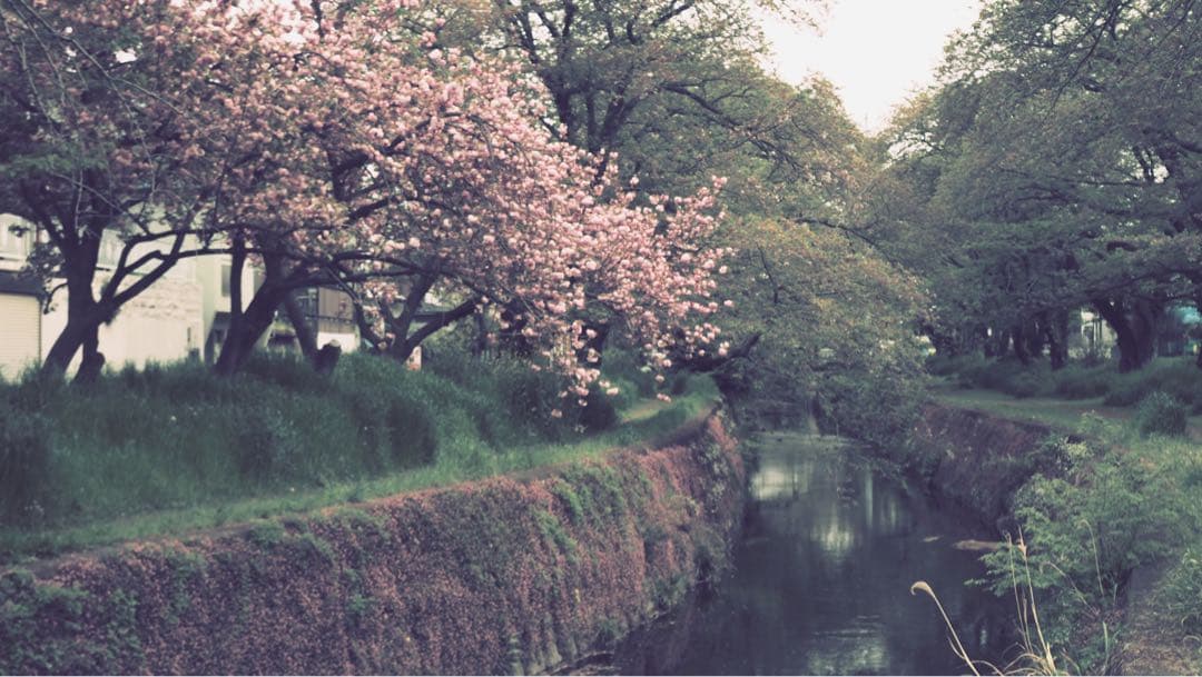 OM-D E-M5 Mark III【⠀レンズのみ付きません】