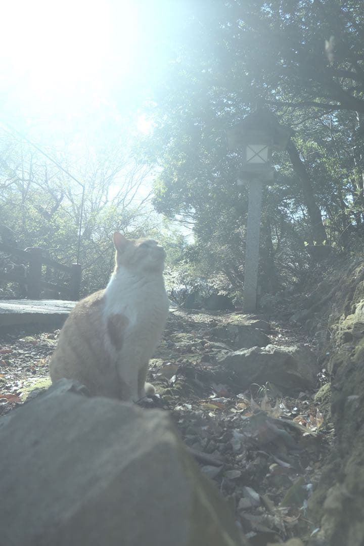 OM-D E-M5 Mark III【⠀レンズのみ付きません】