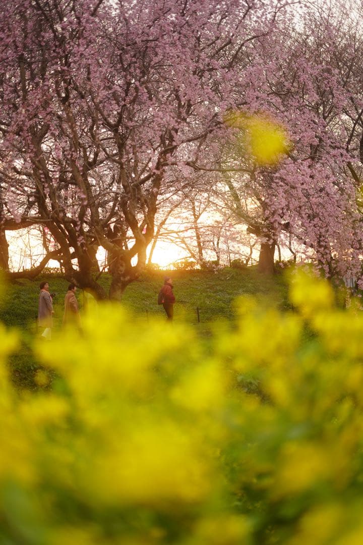 OM-D E-M5 Mark III【⠀レンズのみ付きません】