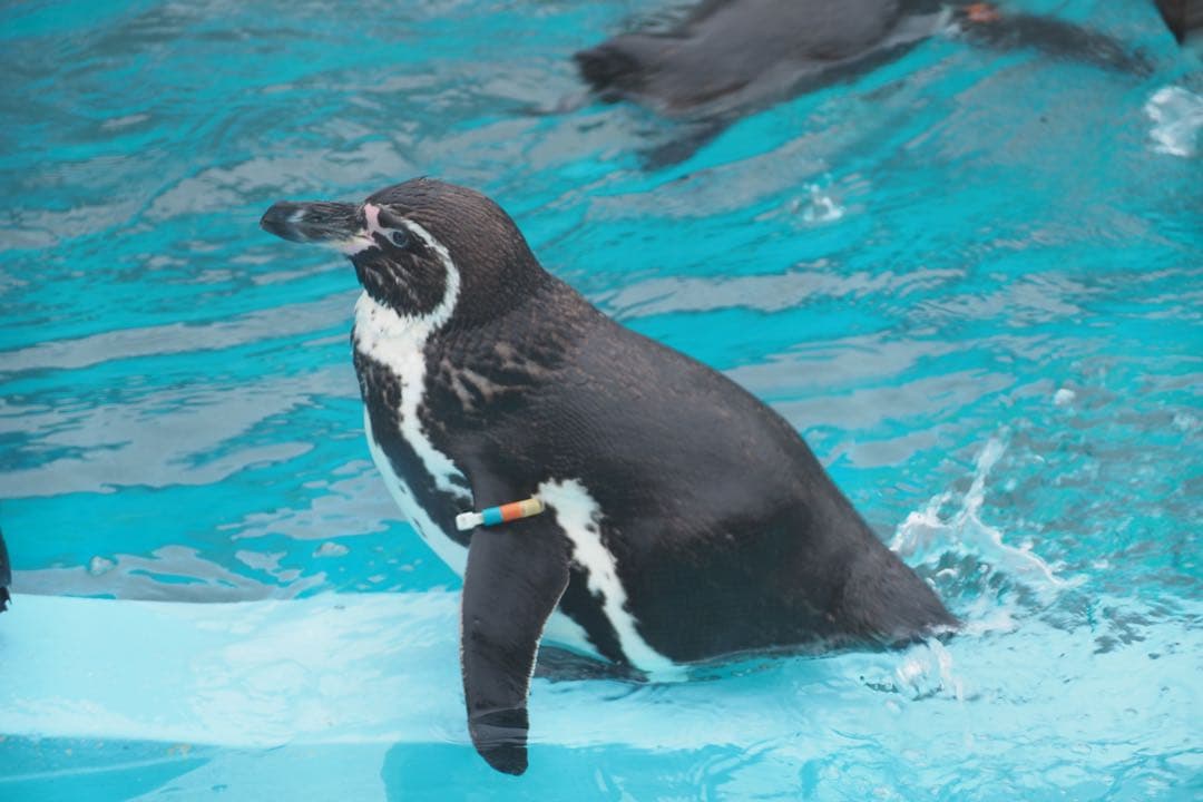 OM-D E-M5 Mark III【⠀レンズのみ付きません】