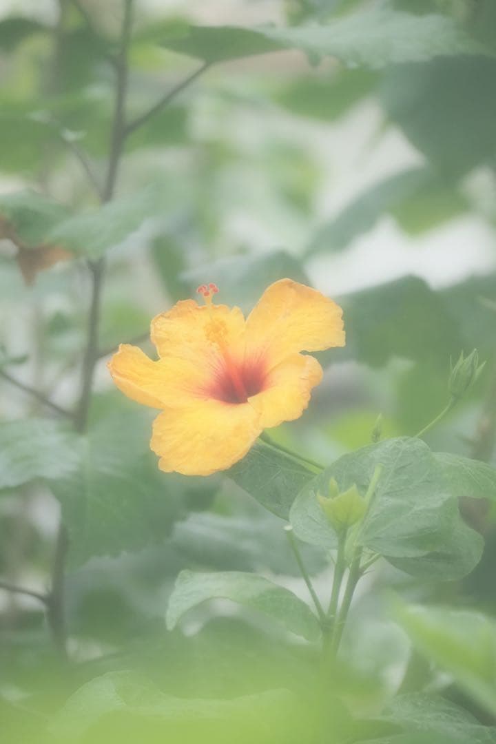 OM-D E-M5 Mark III【⠀レンズのみ付きません】