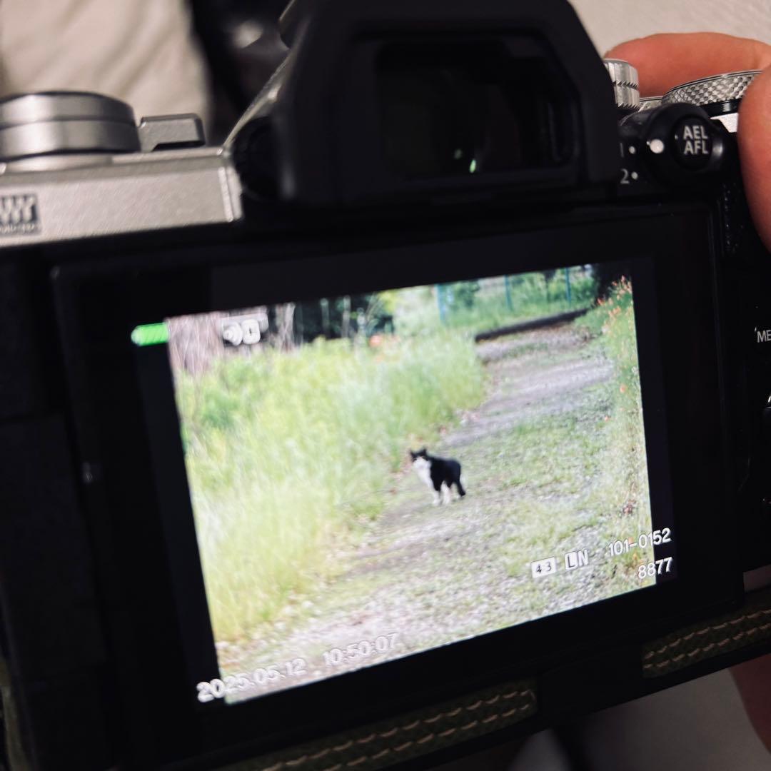 OM-D E-M5 Mark III【⠀レンズのみ付きません】