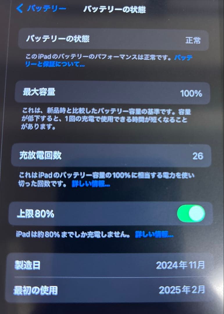 iPad本体 Tsuyoshi iPad mini (A17 Pro)